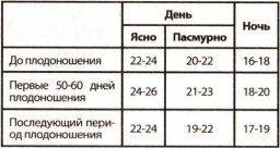 Выращивание огурцов в теплице